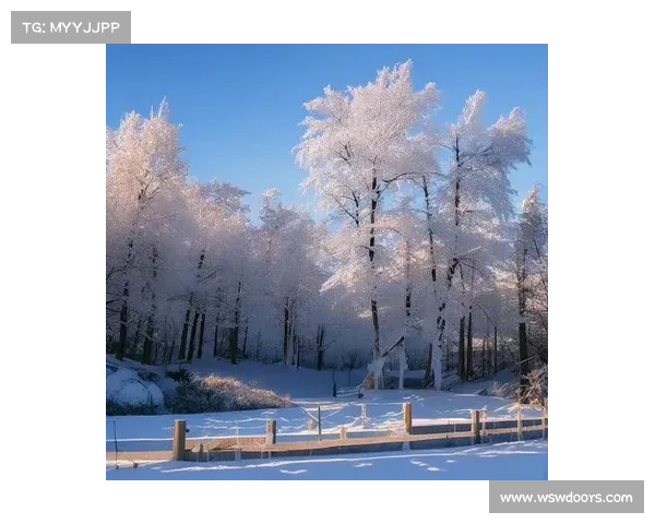 冬季湖畔诗意之旅如何在冰雪世界中感受宁静与美丽