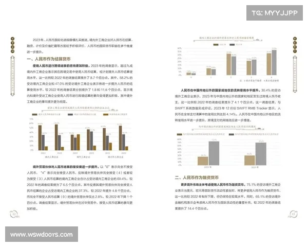 人民币原材料来源及其对中国经济影响的深度分析与探讨