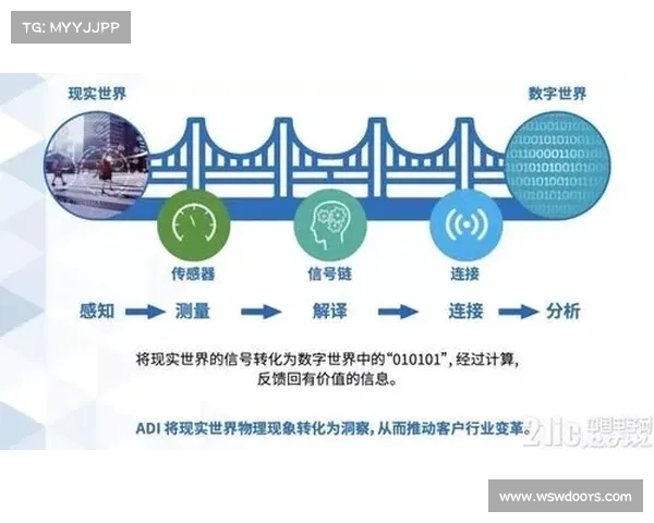 如何在数字世界中发掘无限潜力与探索未知的机会